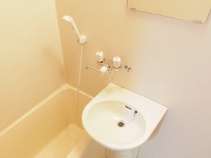 洗面設備　※同建物・別号室の写真です
