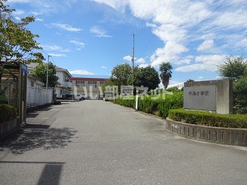 小学校　牛島小学校（小学校）まで2501m