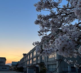 小学校　大分市立滝尾小学校（小学校）まで513m
