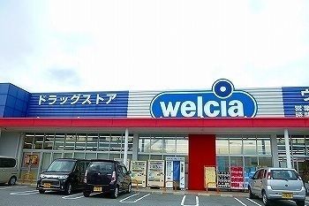 ドラックストア　ウエルシア姫路大津店（ドラッグストア）まで1100m