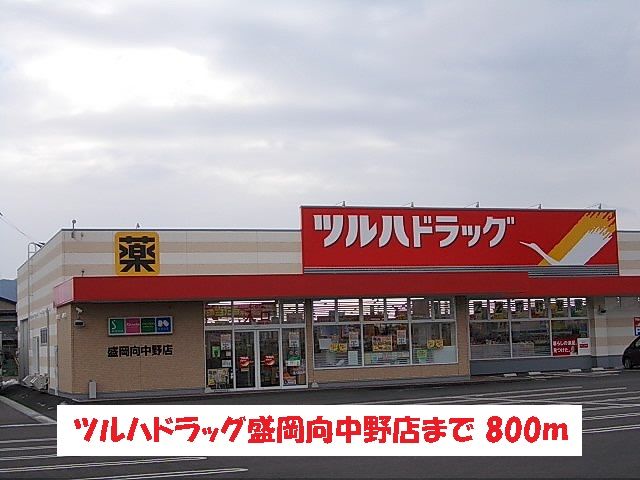 ドラックストア　ツルハドラッグ盛岡向中野店（ドラッグストア）まで800m