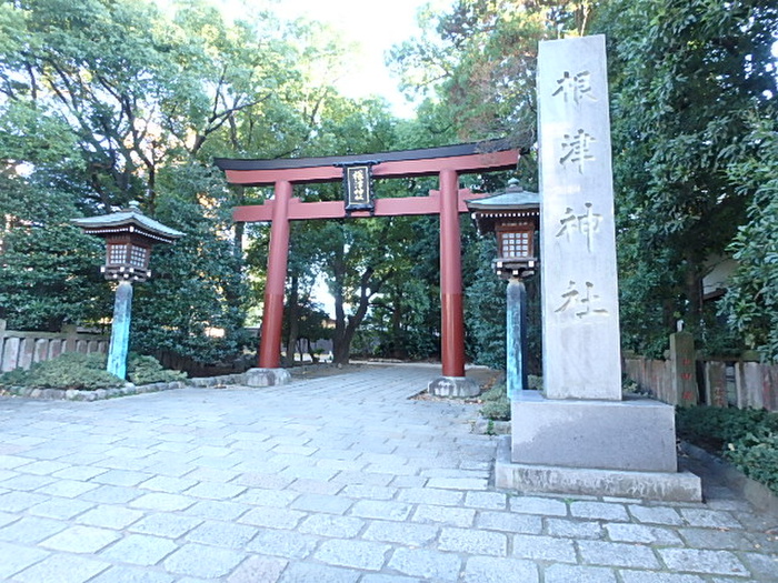 公園　根津神社（公園）まで236m