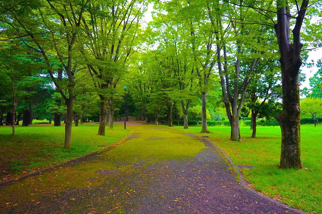 公園　府中の森公園（公園）まで1502m