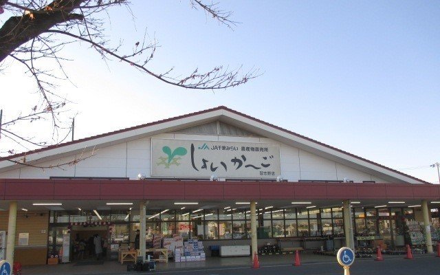 その他　しょいか ごまで550m