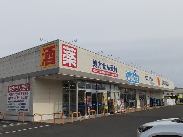 ドラックストア　ウエルシア外野店（ドラッグストア）まで300m