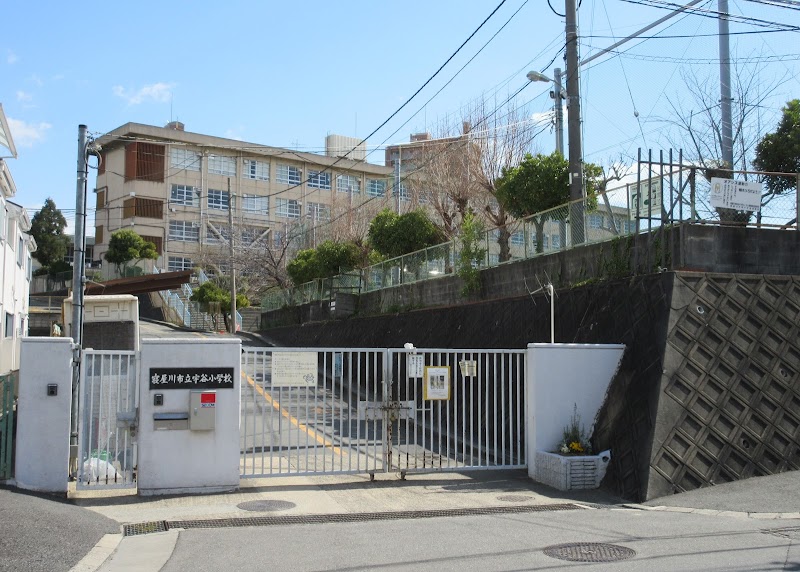 小学校　大阪市立柏里小学校（小学校）まで813m