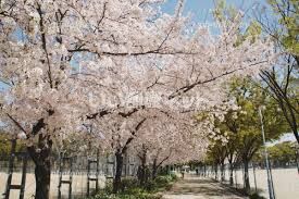公園　巽公園（公園）まで800m