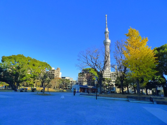 公園　隅田公園（公園）まで1400m