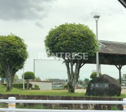 公園　五城公園（公園）まで579m