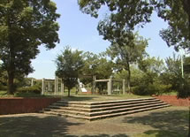 公園　大井中央公園（公園）まで367m