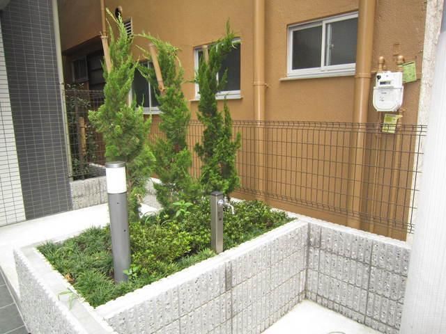 庭　植栽