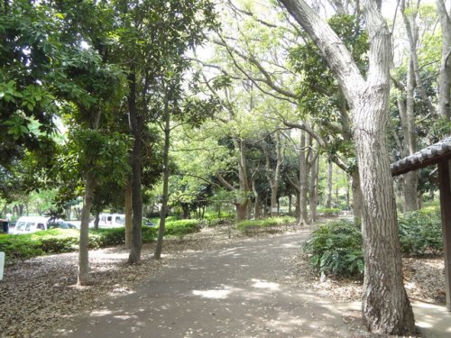 公園　県立行田公園（公園）まで908m