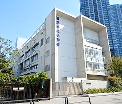 小学校　江東区立豊洲北小学校（小学校）まで530m