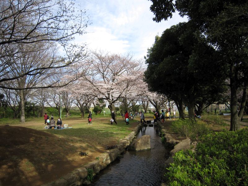 公園　稲田公園（くじら公園）（公園）まで150m