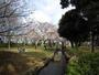 公園　稲田公園（くじら公園）（公園）まで150m