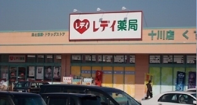 ドラックストア　レディ薬局十川店さん（ドラッグストア）まで750m