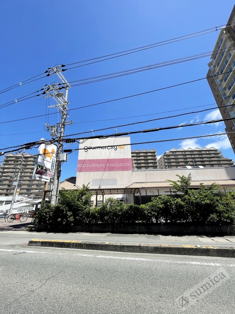 スーパー　グルメシティ八尾店、街の味方（スーパー）まで727m