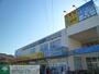 ドラックストア　どらっぐぱぱす西新小岩店（ドラッグストア）まで690m