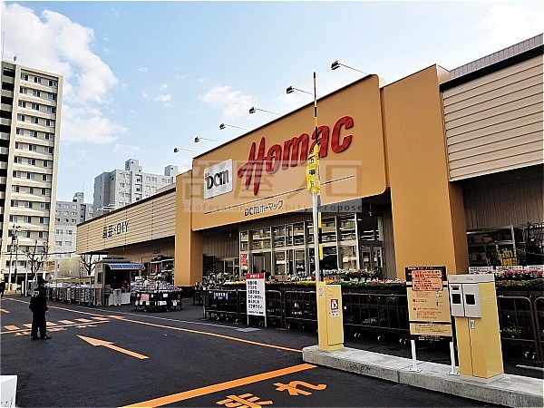 ホームセンター　DCMホーマック桑園店（ホームセンター）まで542m