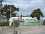 小学校　久留米市立善導寺小学校（小学校）まで559m