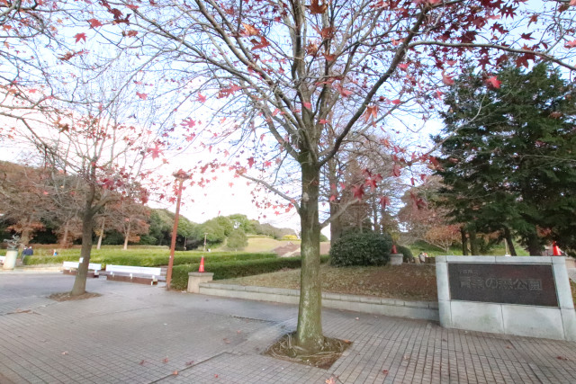 公園　青葉の森公園（公園）まで650m