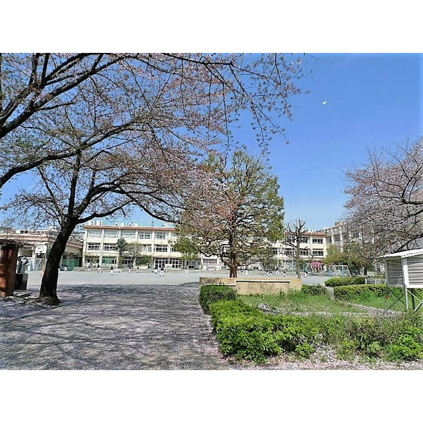 小学校　板橋区立成増小学校（小学校）まで175m
