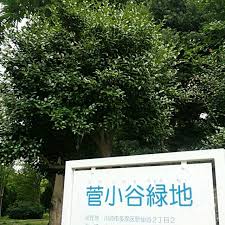 公園　菅小谷緑地（公園）まで450m