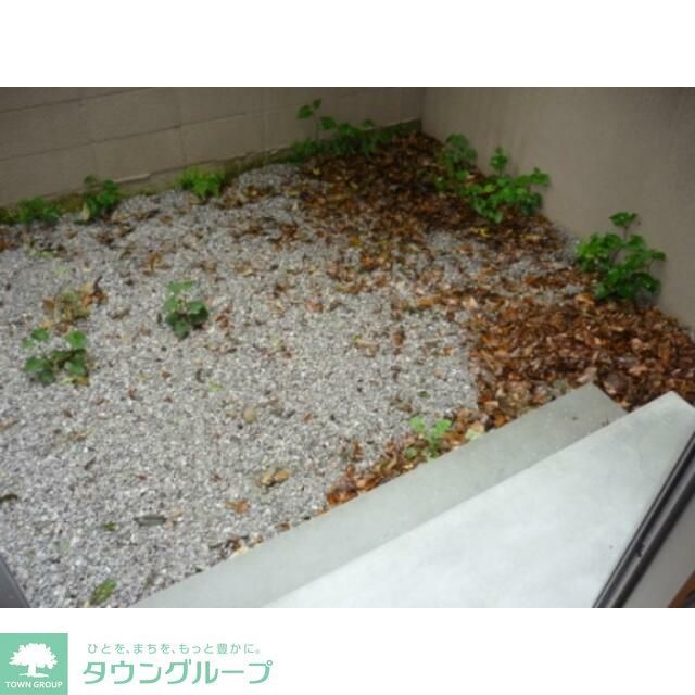 庭