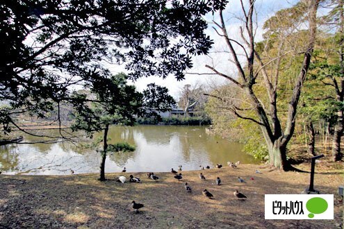 公園　菊田水鳥公園（公園）まで685m