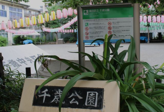 公園　千歳公園（公園）まで405m