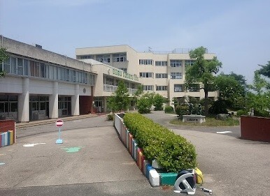 小学校　武豊町立緑丘小学校（小学校）まで738m
