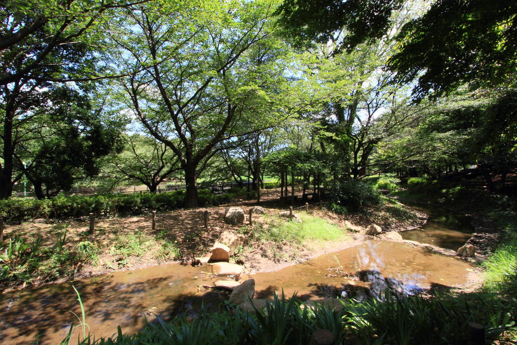 公園　祖師谷公園（公園）まで556m