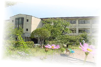 中学校　西宮市立甲陵中学校（中学校）まで1138m