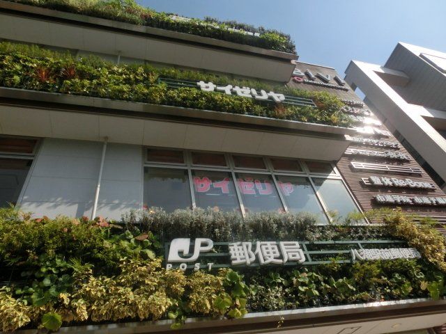 飲食店　サイゼリヤ（飲食店）まで667m