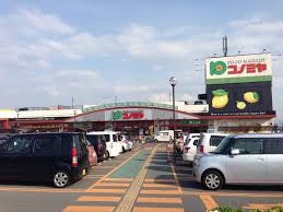 スーパー　スーパーマーケット コノミヤ 深井店（スーパー）まで739m