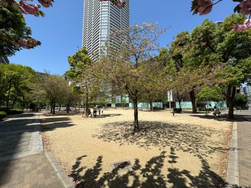 公園　新町北公園（公園）まで1051m