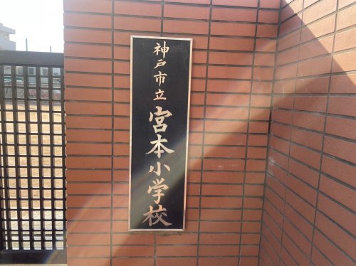 小学校　神戸市立宮本小学校（小学校）まで61m