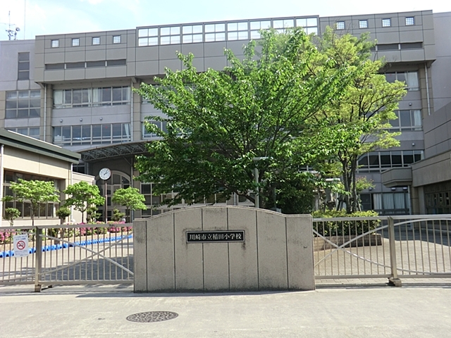小学校　川崎市立稲田小学校（小学校）まで777m