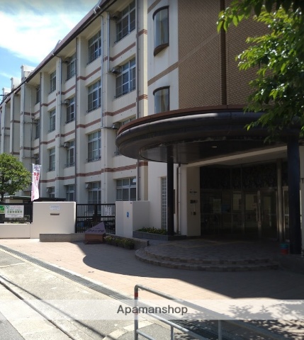 小学校　野田小学校（小学校）まで209m