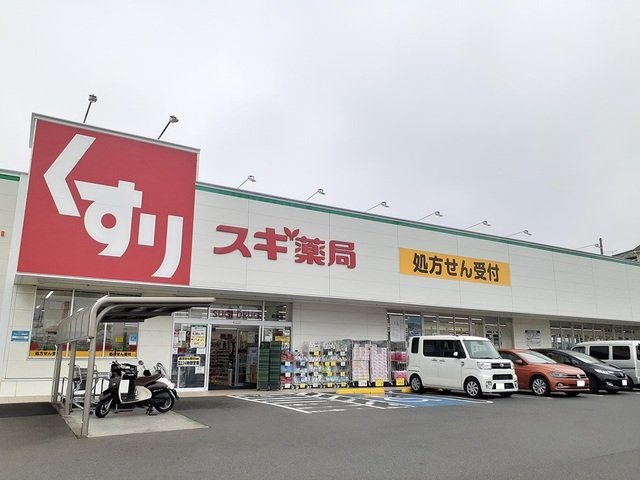その他　スギ薬局 前後店まで800m