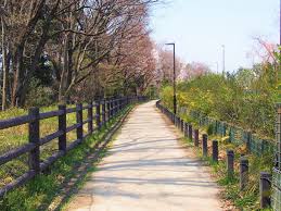公園　玉川上水緑道（公園）まで216m