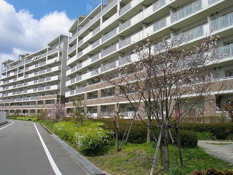 その他共有部分　敷地内２