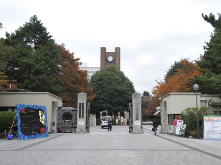 大学・短大　東京大学駒場キャンパス（大学・短大）まで1387m