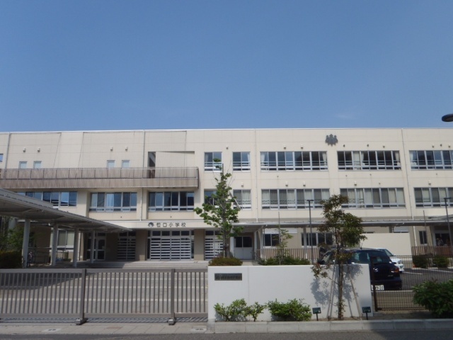小学校　新潟市立笹口小学校（小学校）まで559m