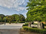 公園　大宮公園（公園）まで230m