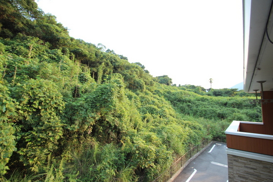 眺望　※別部屋の写真です