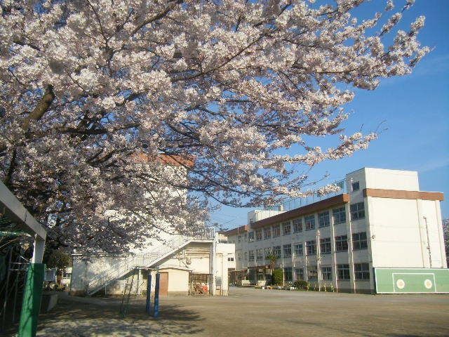 小学校　八王子市立第二小学校（小学校）まで896m