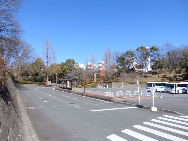 大学・短大　東京薬科大学（大学・短大）まで3800m