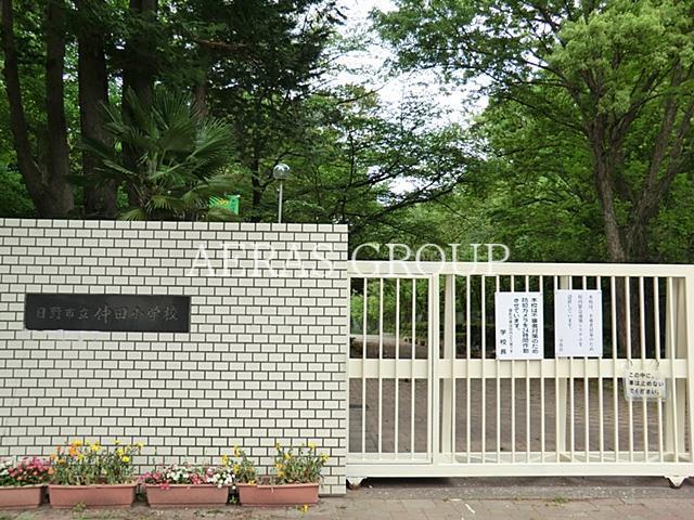 小学校　日野市立仲田小学校（小学校）まで666m