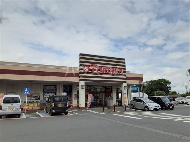 スーパー　とりせん総和店（スーパー）まで461m